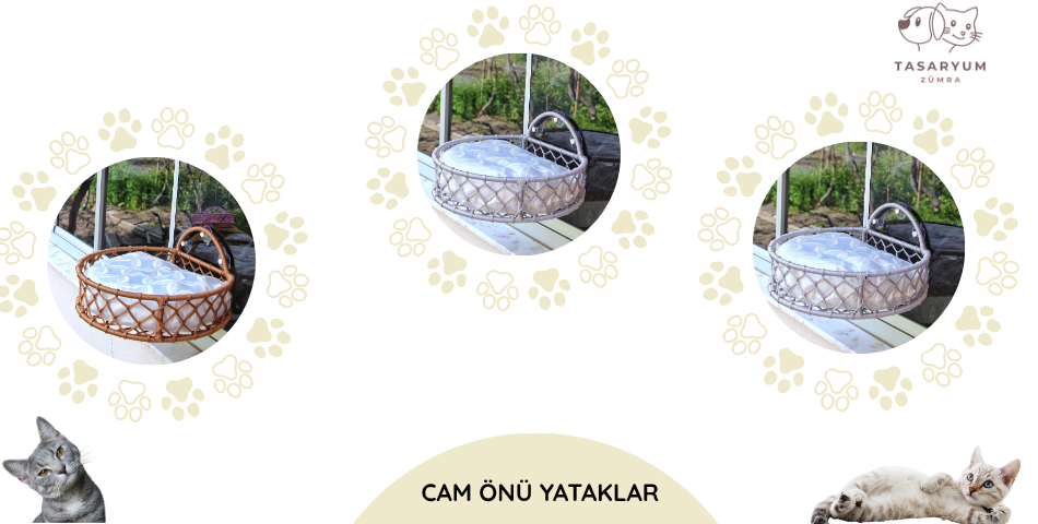 Cam Yatağı 